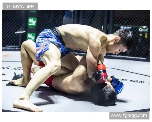 雷丁与诺维奇精彩对决全场录播回顾与分析